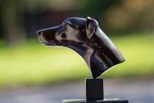 Claude BIGEON - Claude Bigeon