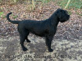 BIGNOLAIS PASCAL - STUDIO NOMADE