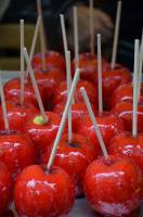 Christine LE GUYADEC - leguyadecc@gmail.com